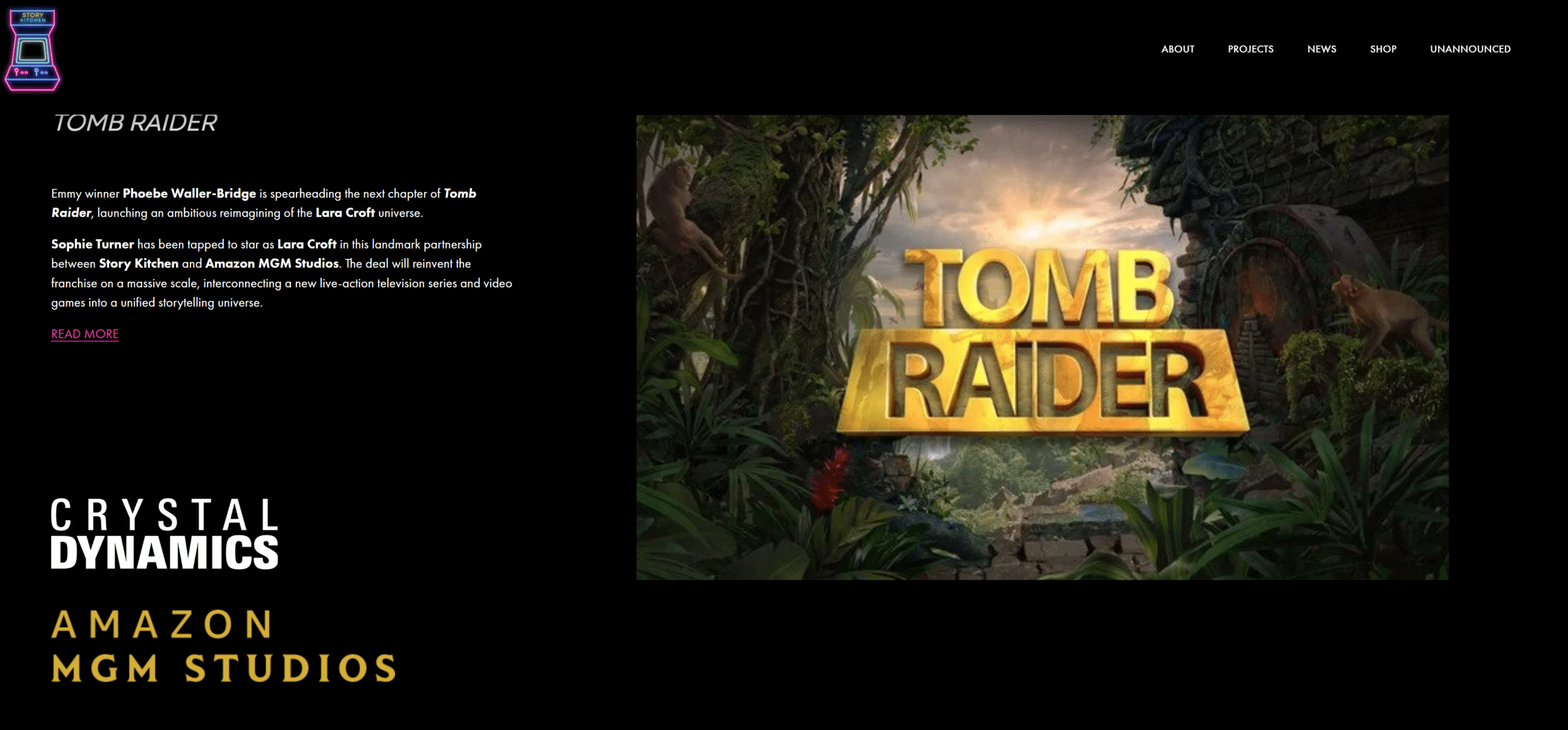 tomb raider show series