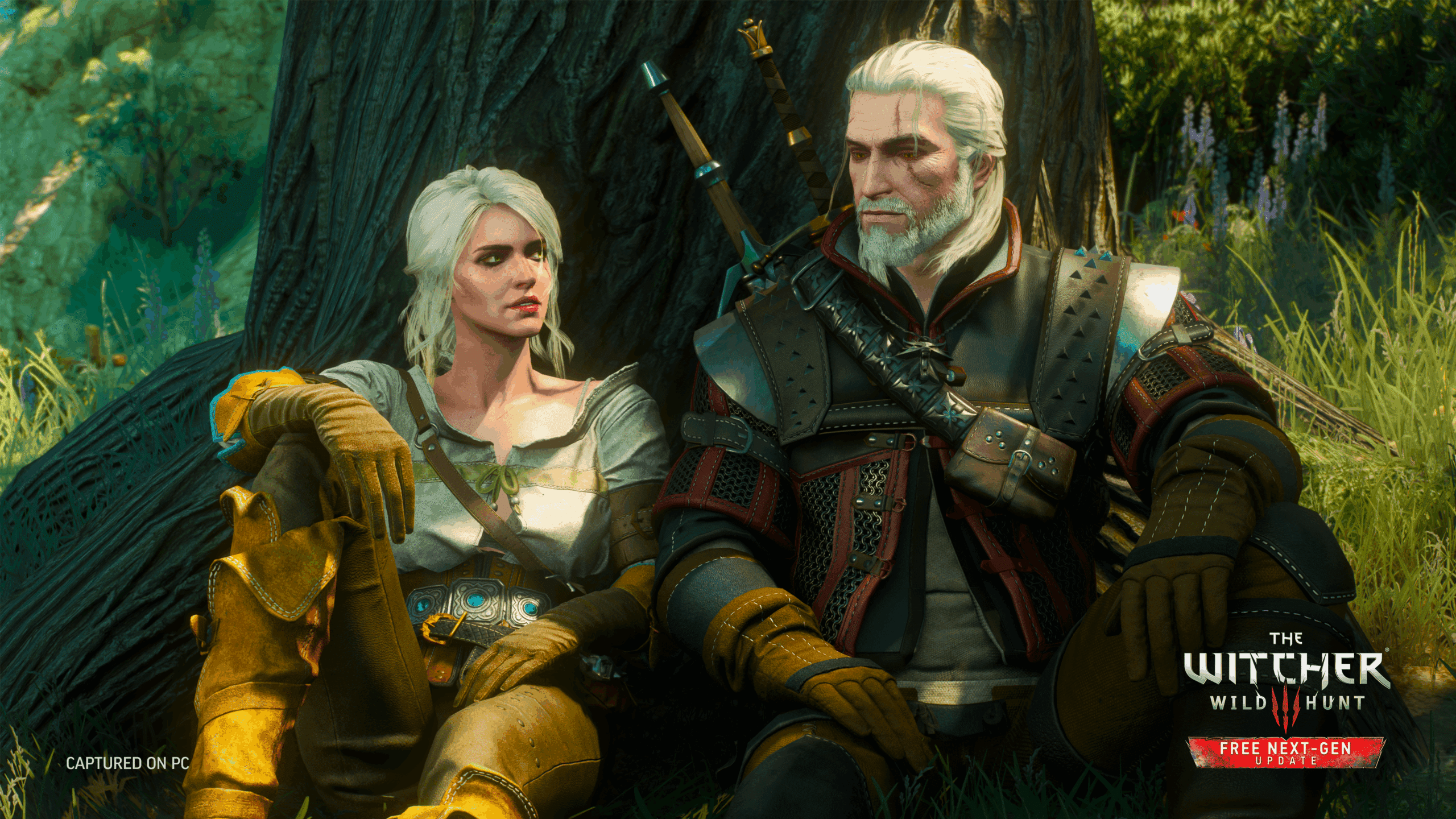 the witcher 3