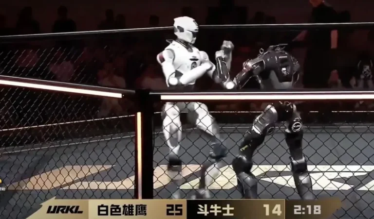 Ultimate Robot Knock-Out Legend: A New Frontier in Humanoid Robot Combat